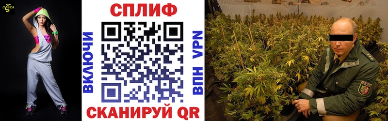 Каннабис VHQ  Купить где  Кувшиново 